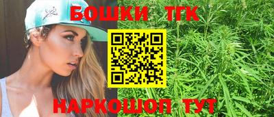 дмт Можга